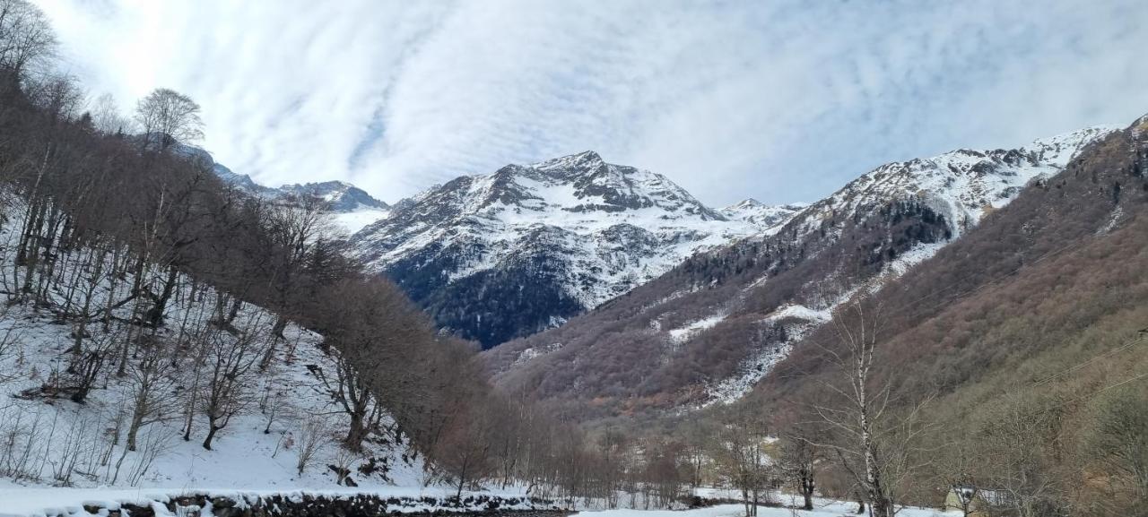Le Louchonnais, T2, Wifi, 4 Personnes Lägenhet Bagnères-de-Luchon Exteriör bild